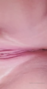 10268707