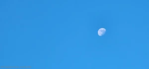 8550776
