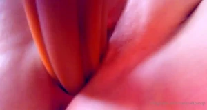 10260508