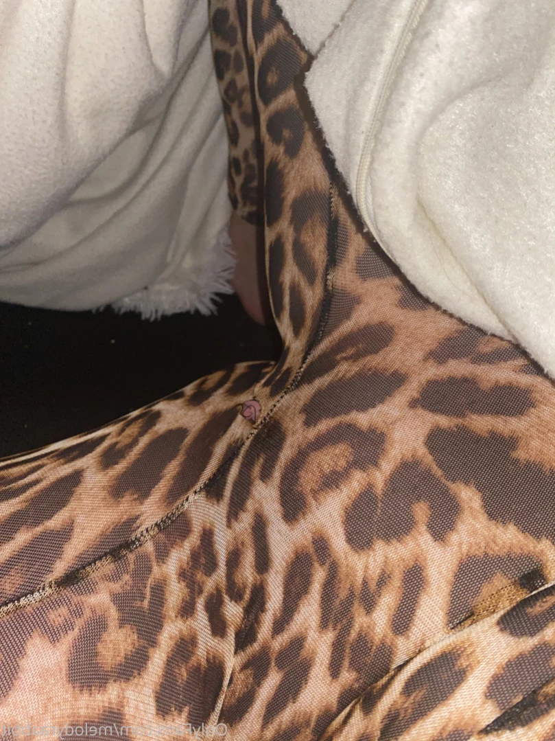 Cutie with a Booty [ melodyraabbit ] Onlyfans leaked photo 15525476 on Hotleaks.tv
