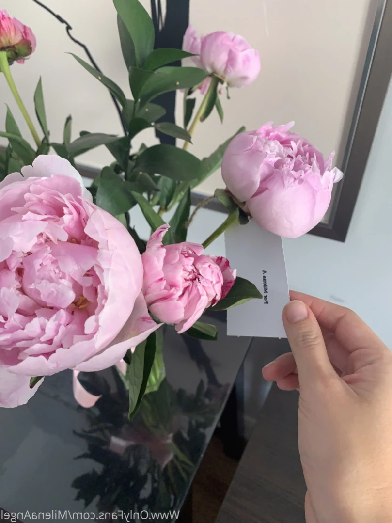 Milena Angel [ milenaangel ] Onlyfans leaked photo 13936815 on Hotleaks.tv