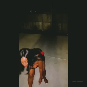 10247209