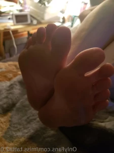 11517251