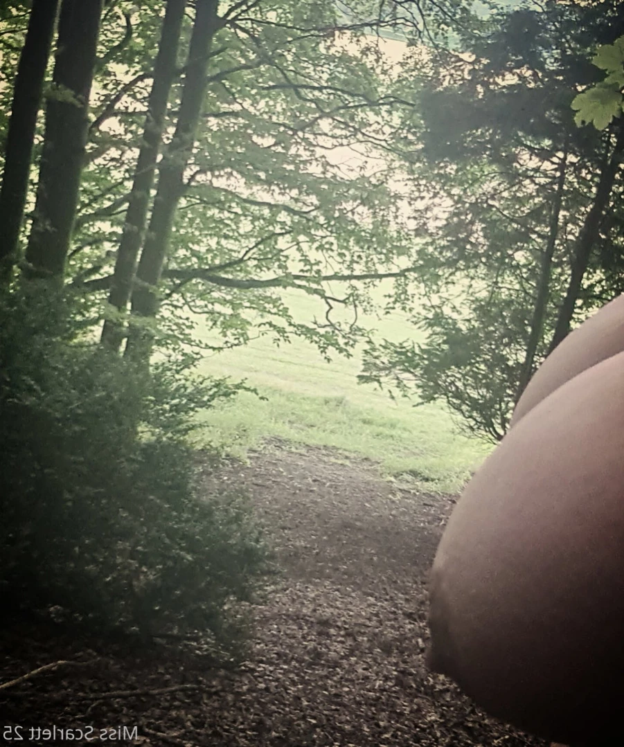 missscarlett25 Onlyfans leaked photo 14059110 on Hotleaks.tv