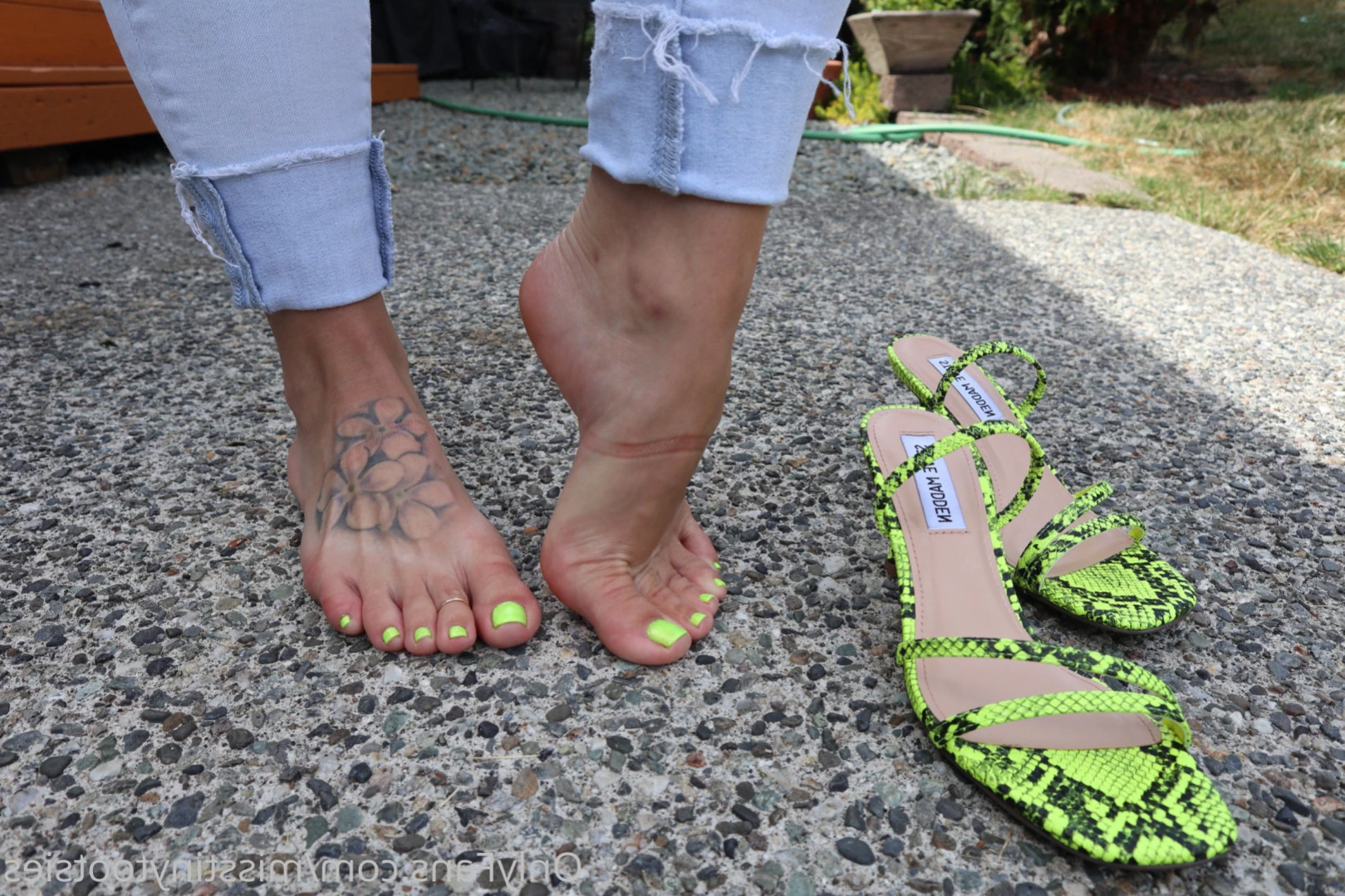misstinytootsies Onlyfans leaked photo 11843199 on Hotleaks.tv