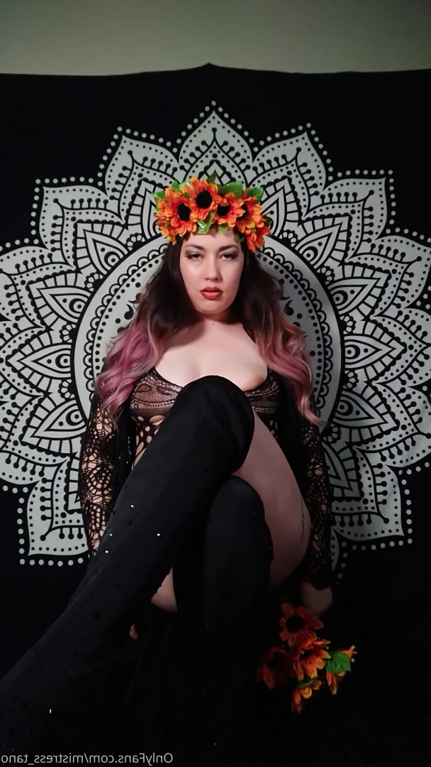 Lady Tano💙 [ mistress_tano ] Onlyfans leaked photo 8497463 on Hotleaks.tv