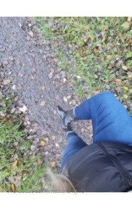 Miss Laura [ mistresslaura11 ] Onlyfans leaked video 10227454 on Hotleaks.tv
