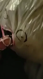 Miss Laura [ mistresslaura11 ] Onlyfans leaked video 10228285 on Hotleaks.tv