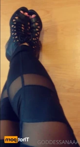 12440713