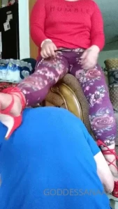 15302796