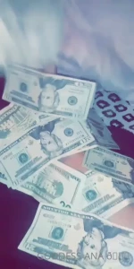 15540431