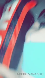 15916451