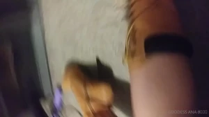 16031883