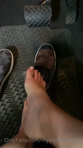 14664101