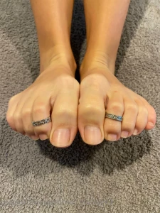 15858154
