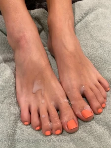 15886540