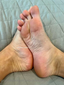 15951091