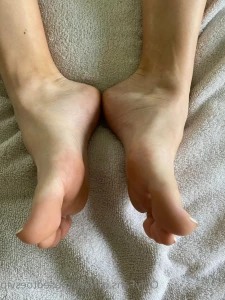 16247186
