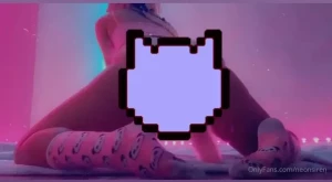 18181563