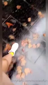 18181372