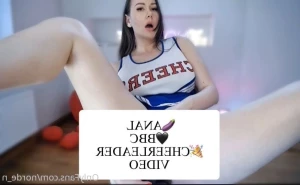 15956233