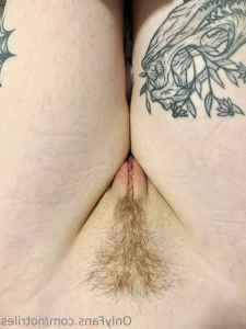 8443119