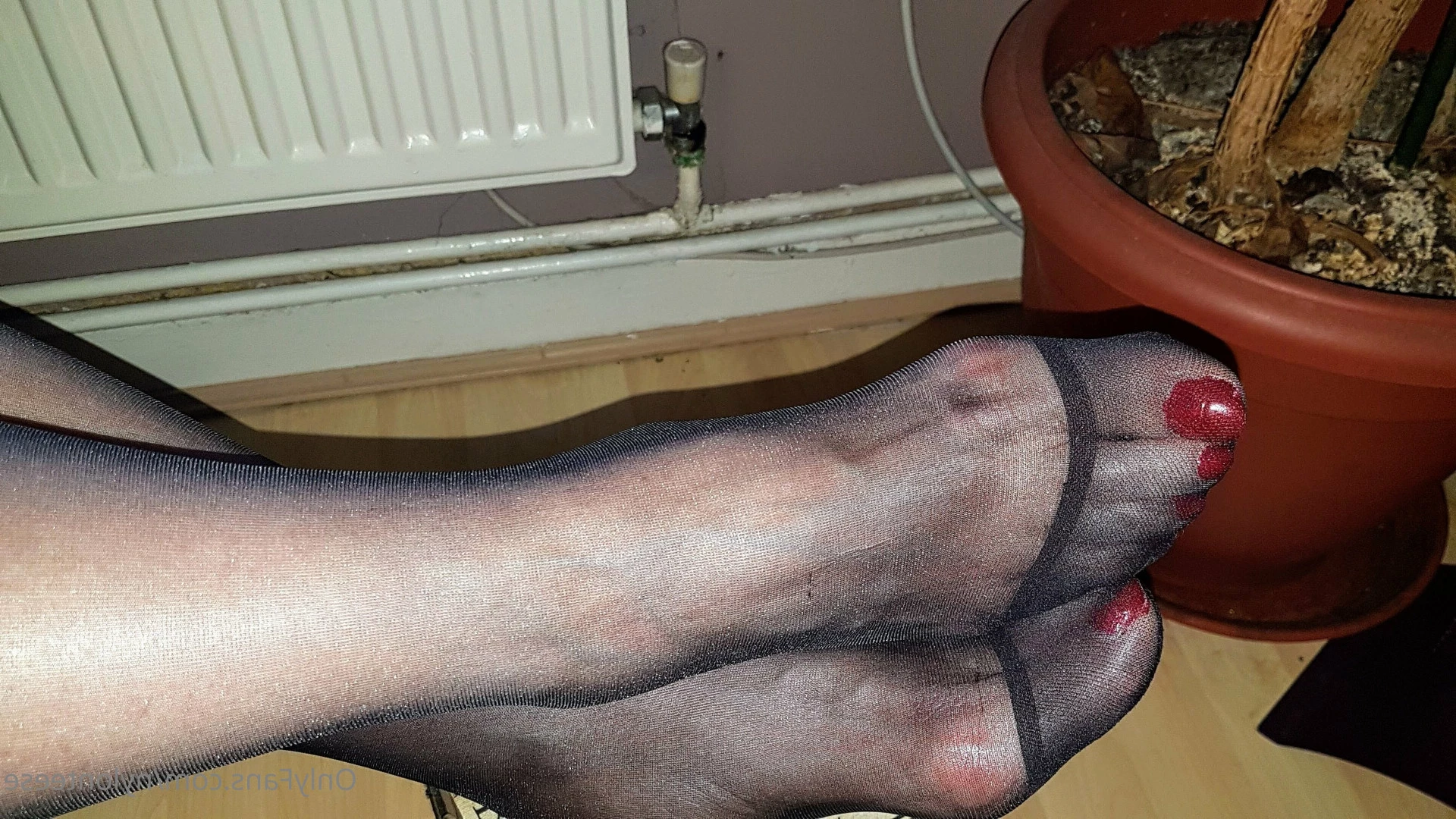 nylonteese Onlyfans leaked photo 8349216 on Hotleaks.tv