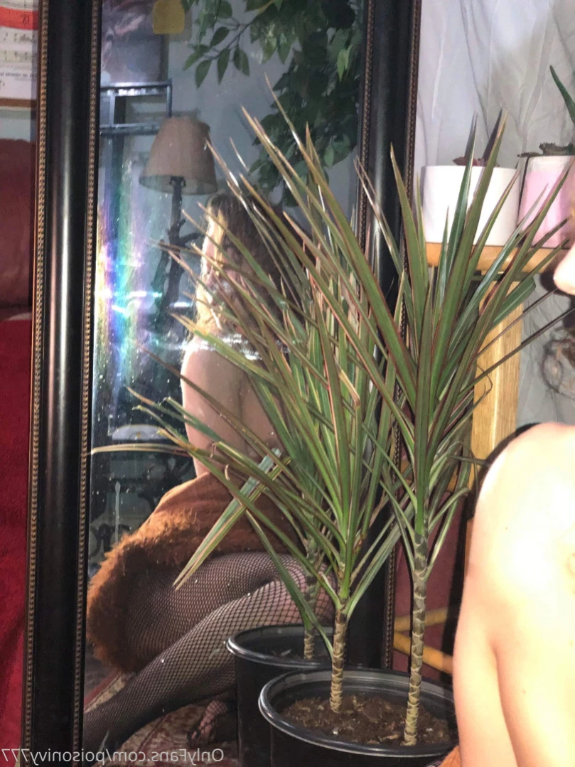 onlyjordanprendergast Onlyfans leaked photo 16133808 on Hotleaks.tv