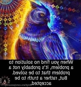 16156766