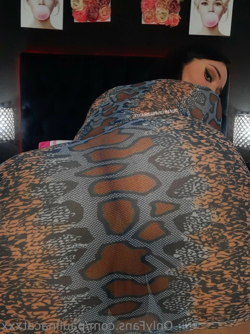 Ana paulina carrillo garcia [ paulinacatxxx ] Onlyfans leaked photo 14086525 on Hotleaks.tv