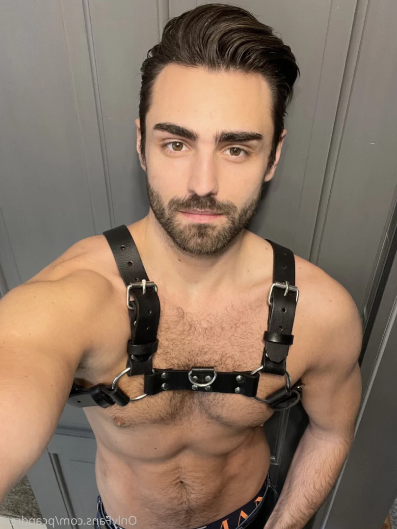 P.C. Andrew [ pcandrew ] Onlyfans leaked photo 11948519 on Hotleaks.tv