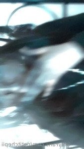 10107694