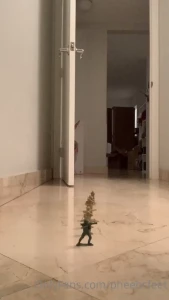 Princess P. [ pheebsfeet ] Onlyfans leaked video 10106268 on Hotleaks.tv