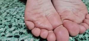 16242577