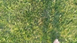 Pixie Nixx [ pixiefeetnixx ] Onlyfans leaked video 10099994 on Hotleaks.tv