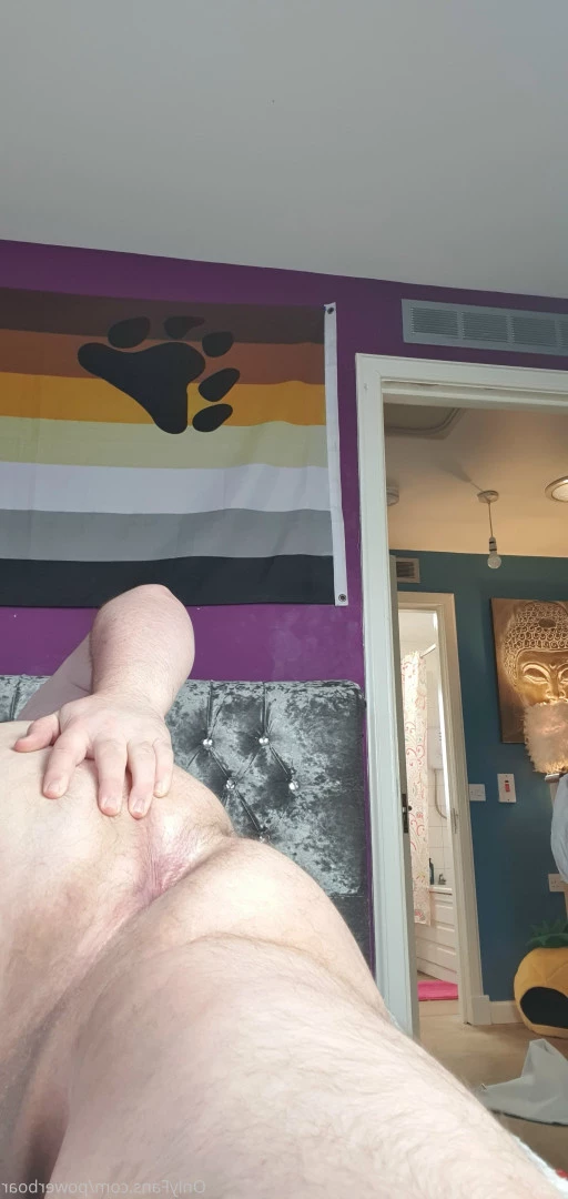 powerboar Onlyfans leaked photo 8318972 on Hotleaks.tv