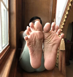 16067887
