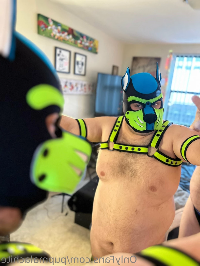Pup Pulsar (Formerly Malachite) [ puppulsar ] Onlyfans leaked photo 8272324 on Hotleaks.tv