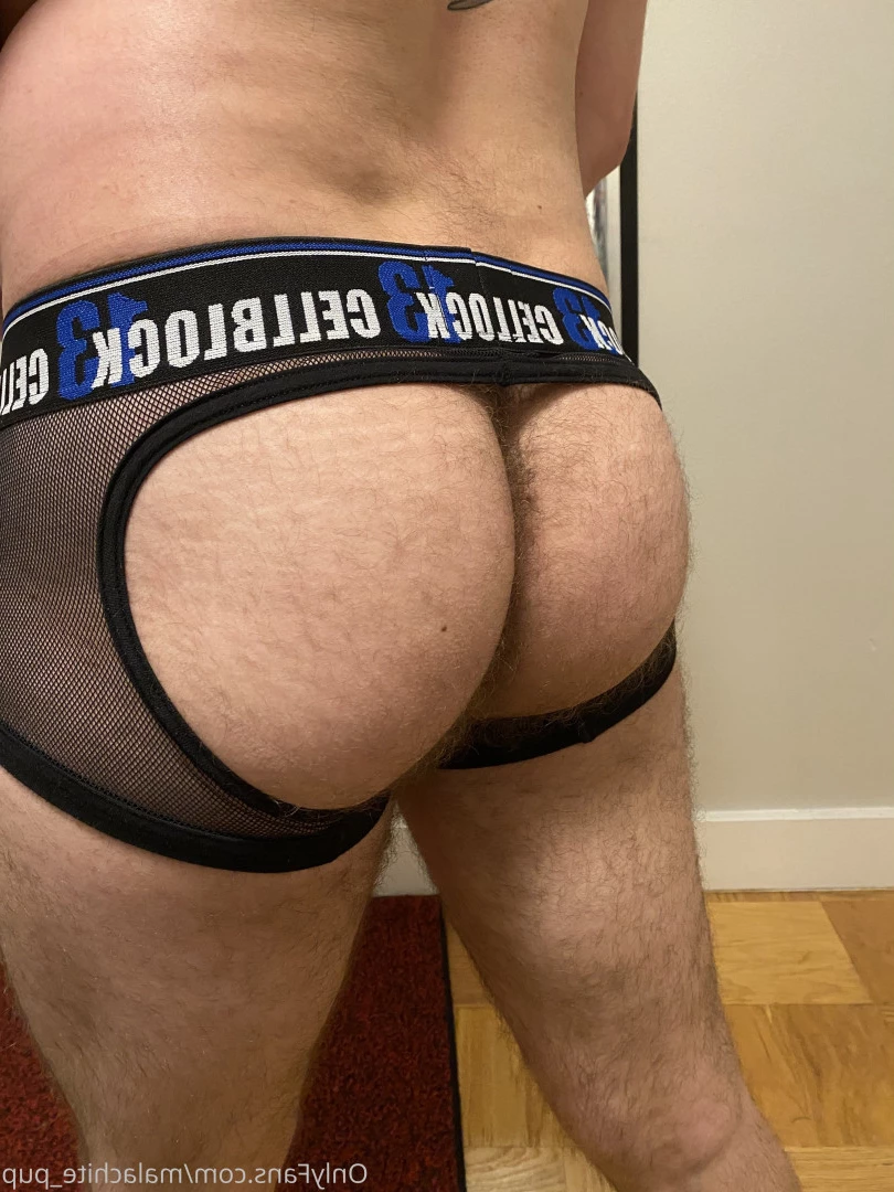 Pup Pulsar (Formerly Malachite) [ puppulsar ] Onlyfans leaked photo 8272815 on Hotleaks.tv