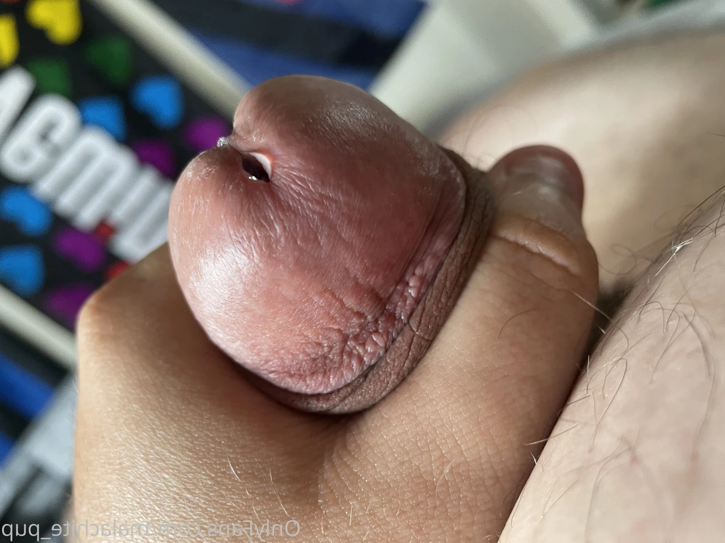 Pup Pulsar (Formerly Malachite) [ puppulsar ] Onlyfans leaked photo 8272827 on Hotleaks.tv