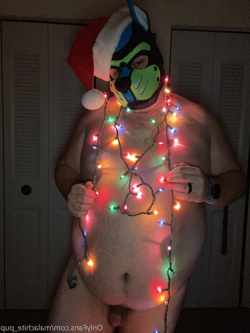 Pup Pulsar (Formerly Malachite) [ puppulsar ] Onlyfans leaked photo 8273166 on Hotleaks.tv