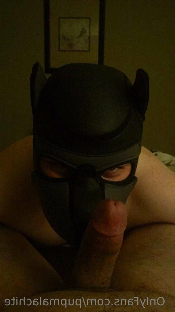 Pup Pulsar (Formerly Malachite) [ puppulsar ] Onlyfans leaked photo 8273306 on Hotleaks.tv