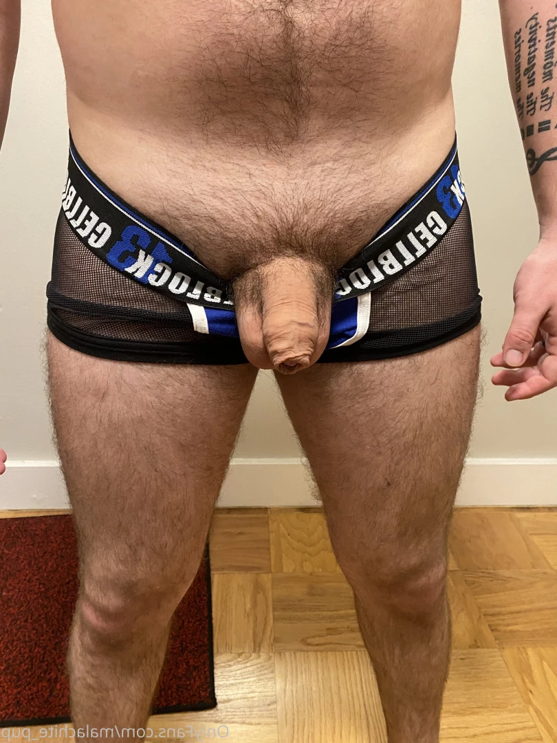 Pup Pulsar (Formerly Malachite) [ puppulsar ] Onlyfans leaked photo 8273382 on Hotleaks.tv