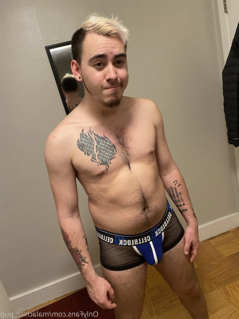 Pup Pulsar (Formerly Malachite) [ puppulsar ] Onlyfans leaked photo 8273423 on Hotleaks.tv