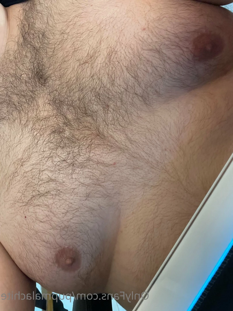 Pup Pulsar (Formerly Malachite) [ puppulsar ] Onlyfans leaked photo 8273438 on Hotleaks.tv