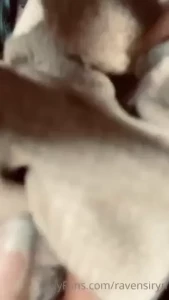 18178624