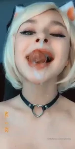 18178044