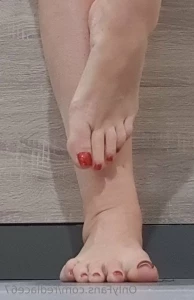 8331516