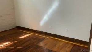 Remi Reagan [ remireagan ] Onlyfans leaked video 10050874 on Hotleaks.tv