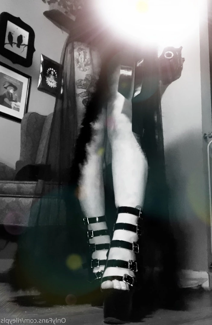Riley Caacrinolaas [ rileypls ] Onlyfans leaked photo 10155360 on Hotleaks.tv